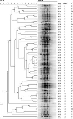 Whole-Genome Sequencing Elucidates the Epidemiology of <mark class="highlighted">Multidrug-Resistant Acinetobacter</mark> baumannii in an Intensive Care Unit